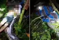 The missing farmer was found in the belly of a 7-meter-long python.