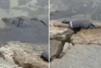 The lifeless bodies of two individuals who had been shot in the head washed up on the shore in Istanbul.