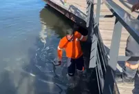 The municipal staff jumped into the icy water for the Turkish flag that fell into the sea.