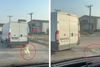 He tied the dog to the back of the minibus with a rope and pulled it.