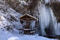 In Bayburt, the temperature is minus 20 degrees: Sarıkayalar Waterfall has frozen.