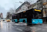 The private public buses in Istanbul have stopped operating.