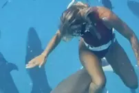 The woman diver who was attacked by a shark was seriously injured.