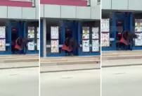 He couldn't believe his eyes when he saw the horse at the entrance of the market.