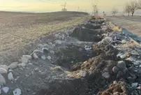 In Tunceli, the mulberry saplings planted by the municipality were stolen.