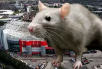 The stadium of the giant of the world was overrun by mice.