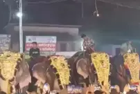 Elephant attack at festival in India: 17 injured.