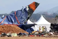 In the plane crash in South Korea, feathers and traces of blood were found.