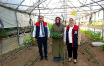 Düzce'de Kadın Üreticilerin Sera Ziyareti