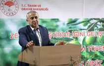 Samsun'da Zeytin Yetiştiriciliği Gelişiyor