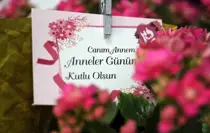 Anneler Günü İçin Bolu'daki Çiçekçilerde Yoğunluk Başladı
