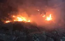 İspir'de Orman Yangını Vatandaşlar Tarafından Söndürüldü
