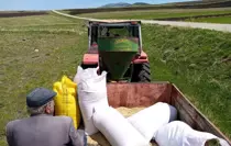 Kars'ta Bahar Ekinleri Toprakla Buluşuyor