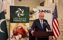 Türkiye, Pakistan ve ABD Arasında Ekonomik İşbirliği Fırsatları Değerlendirildi