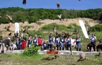 Kahverengi Kokarca ile Mücadelede Biyolojik Çözüm: 800 Sülün Doğaya Salındı
