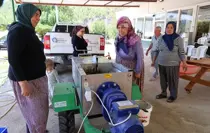 Antalya'da Üzüm Hasadı İçin Ücretsiz Sıkma Makinesi Desteği