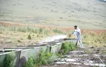 Ardahan Valisi, Şap Hastalığıyla Mücadele Çalışmalarını İnceletti
