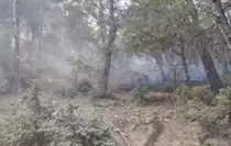 Balıkesir İvrindi'de Orman Yangını Kontrol Altına Alındı