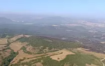 balikesir-in-kepsut-ilcesindeki-orman-yanginl-18767875_amp.jpg