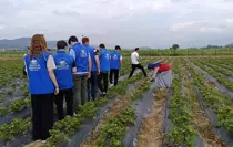 Boyabat'ta Gençler İçin Tarımda Girişimcilik Programı Düzenlendi