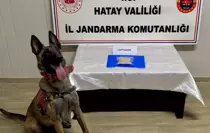 hatay-da-uyusturucu-ve-kacakcilik-operasyonla-18756557_amp.jpg