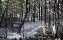 Fethiye'de Orman Yangını Kontrol Altına Alındı