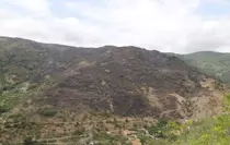 Tekirdağ'daki Orman Yangını Kontrol Altına Alındı