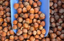 Giresun Ticaret Borsası'ndan Fındık İçin Uluslararası Tanıtım Hamlesi