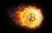 Kripto Piyasası Neden Yükselişte?