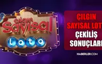 Sayısal Loto çekiliş sonuçları açıklandı! 11 Haziran 2025? Sayısal Loto sonuçları saat kaçta açıklanacak? Sayısal Loto CANLI izle!