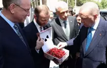 Milletvekillerinden Cumhurbaşkanı Erdoğan'a Kütahya kirazı ikramı