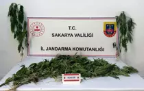 jandarma-uyusturucuya-gecit-vermiyor-3-tutukl-18771797_amp.jpg