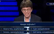 hangisi-dogrudur-akdeniz-foku-ayi-gillerdendir-18792220_5554_amp.jpg