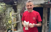 Güvercinin Hayatını Değiştiren Tavuk Yumurtası