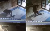 Kediyi vahşice öldüren caninin ifadesi ortaya çıktı: Onu can düşmanım gibi gördüm