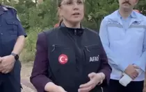 Bartın'da Orman Yangını: 1 Yaralı, 14 Kişi Tahliye Edildi