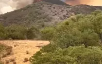 California'daki Orman Yangınında Kontrol Sağlanamıyor