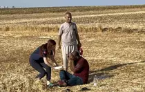 Tekirdağ'da Saman Yüklü Tır Yangını: 1 Yaralı
