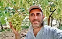 Sarıgöllü Üzüm Üreticisi Emin Çepel, Doğayı Koruyarak Başarıya Ulaşıyor