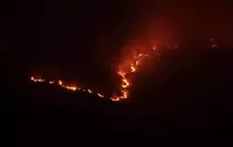 Kastamonu'da Orman Yangını: 9 Köy Tahliye Edildi