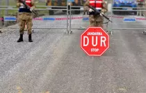 Tilki ile köpek boğuştu, bir belde karantinaya alındı