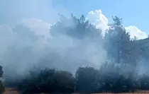 Kahramanmaraş'ta Orman Yangını Kontrol Altına Alındı