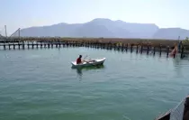 DALKO'nun Havuzlarındaki Balıkların Telefi İddiası