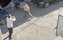 Muş'ta Silahlı Kavga: 2 Ölü, 3 Yaralı