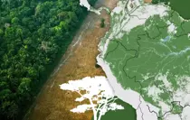 Dünyayı bekleyen tehlike: Amazon nasıl yavaş yavaş ölüyor?