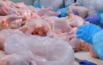 Türkiye'nin dev tavuk markası konkordato ilan etti