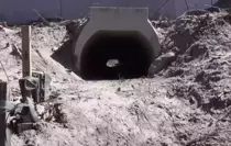 Kurbağaların rahatça çiftleşmesi için yapılan aşk tünelinde inşaat sona erdi