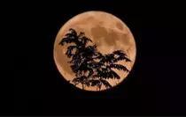 Süper ay hangi gün, bugün mü? 2025 Aralık ayında dolunay ne zaman?