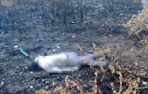 Mersin'de kaza yapan araç otoyolda, sürücüsü 30 metrelik köprünün altında ölü bulundu