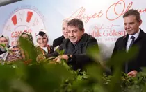 Esenler'de Dünya Çay Günü'ne özel 55 çeşit çay ikramı